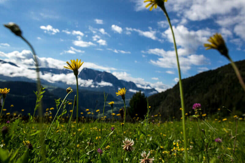 TRAVEL-TIMES-DOLOMITES-11_1311981