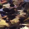 Article image for: Conduct of policewomen regrettable, guilty will be punished: <i class="tbold">mumbai police</i>