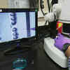 Article image for: Gene editing tool described as 'game-changer'