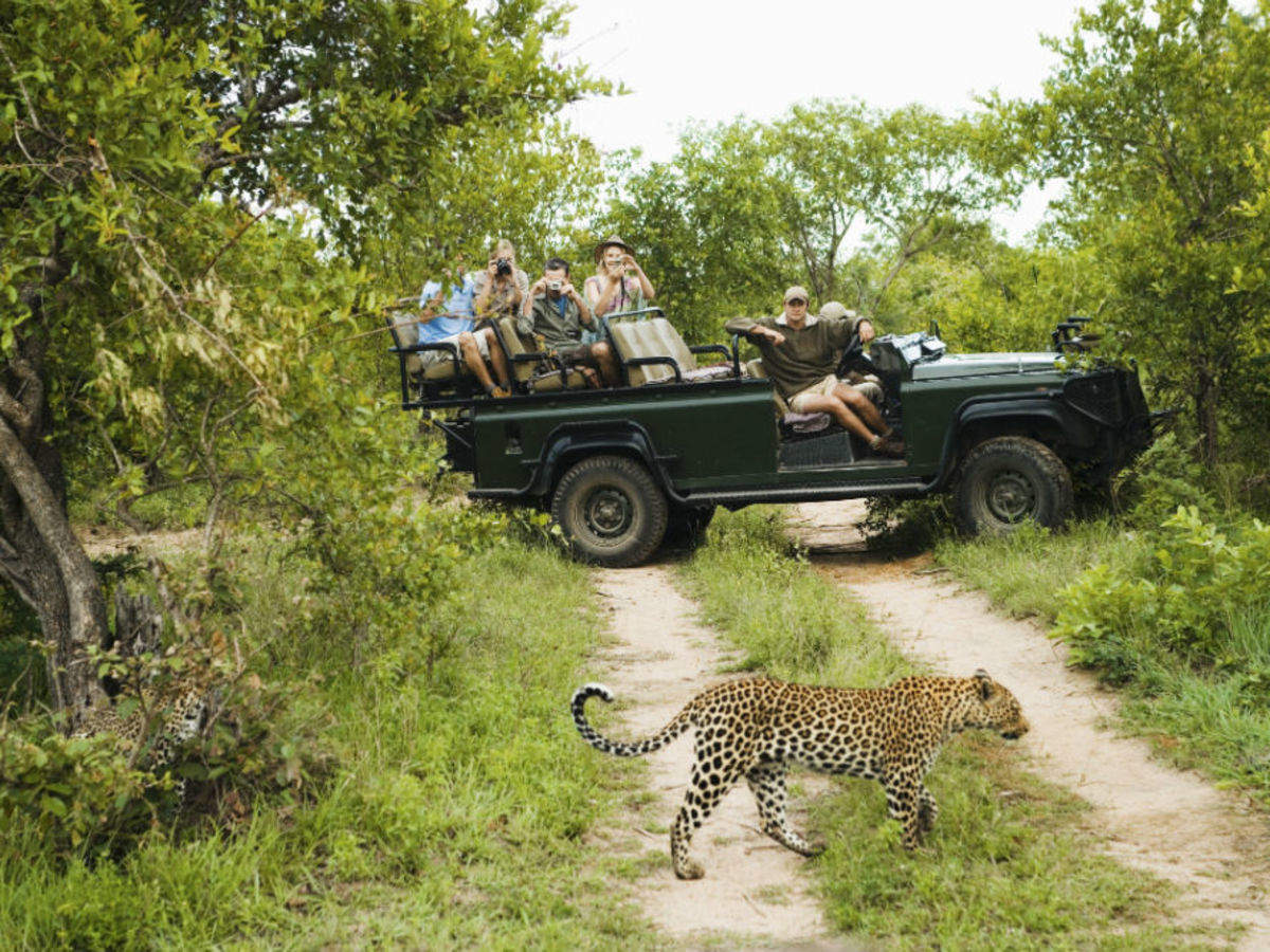 5 Star Luxury Game Lodge Kruger Park