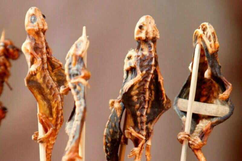 5 snacks that will make your skin crawl