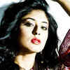 TV's darling 'Reporter' turns a year older!