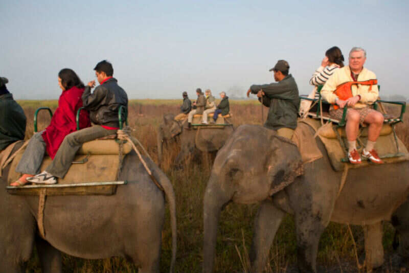 Kaziranga National park