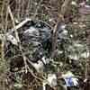 Article image for: New pictures of <i class="tbold">chopper crash</i>