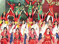 Cultural programme in the city