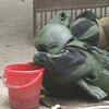 Article image for: Patna: <i class="tbold">bomb squad</i> diffuses two live bombs
