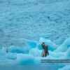 Dilwale song ‘Gerua’: Interesting facts