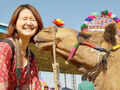 Pushkar Fair: Colourful delight