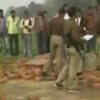 Article image for: Water tank collapse kills three children in <i class="tbold">amethi</i>