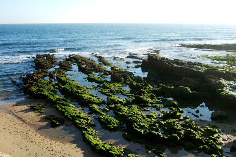 Carcavelos Beach