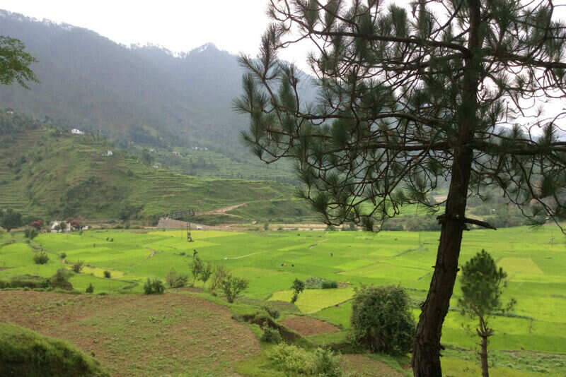 Beautiful Kausani2