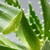 Safe and natural ways to prepone your period