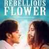 Article image for: Rebellious Flower: Official Trailer