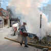 Article image for: <i class="tbold">zika virus</i>: A new global threat