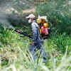 Article image for: <i class="tbold">zika virus</i>: A new global threat