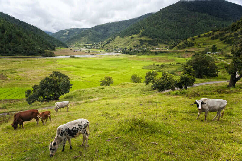 Sangti Valley