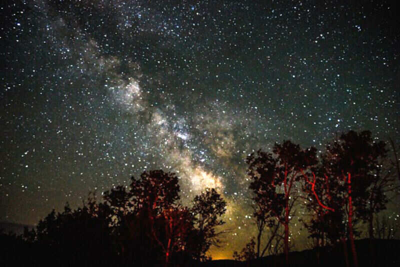 stargaze