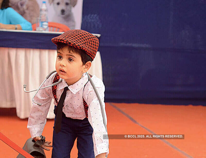 Vintage car & Dog show