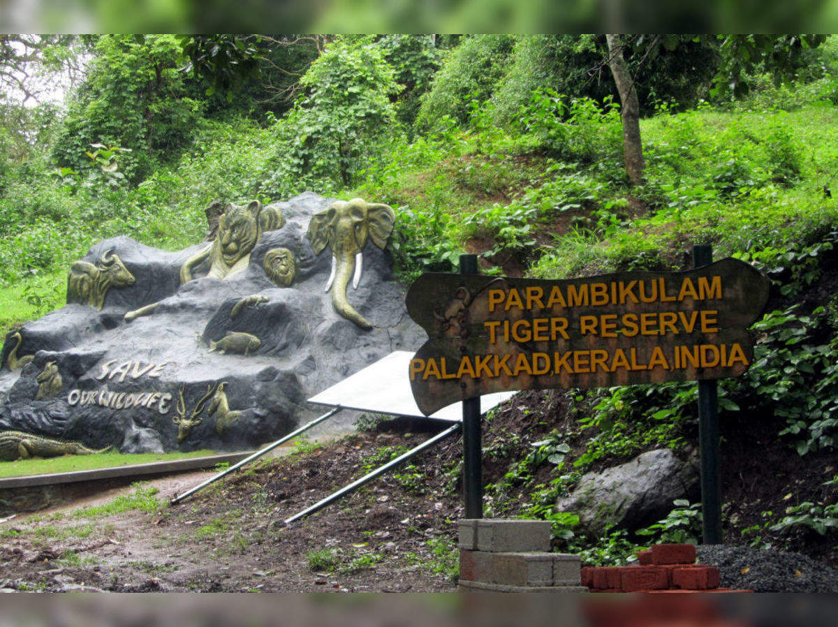Topslip (TN) and Parambikulam (Kerala) really worth visiting