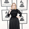 The crowd gives a standing ovation to Adele for her performance, although there were technical sound errors during her act.