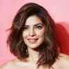 Article image for: 88th Oscar Awards: Indian connection