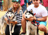 Pet show in the city