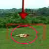 Article image for: Ten mysterious murders in Goa in 3 days