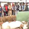 Article image for: Dehradun: 'Accused' MLA visits stable to see injured horse
