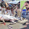 Article image for: Shocked and disgusted over the unprovoked attack on <i class="tbold">shaktimaan</i>: Virat Kohli