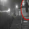 Article image for: 'Serial dog killer' caught on CCTV stabbing puppies