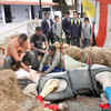 Article image for: Dehradun: Police horse <i class="tbold">shaktimaan</i> on the road to recovery