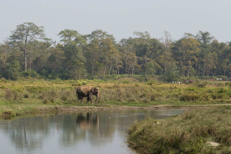 rainforest tour