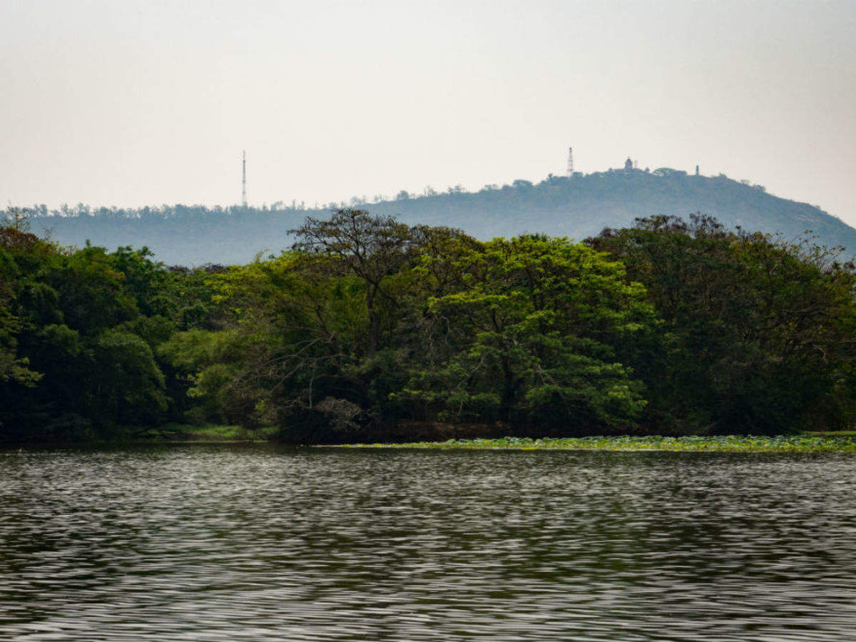 Squeak voldsom bh Karanji Lake, Mysore - Times of India Travel