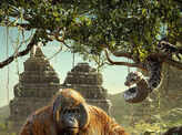 The Jungle Book