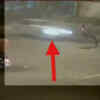 Article image for: Delhi hit-and-run case: Police arrest car owner
