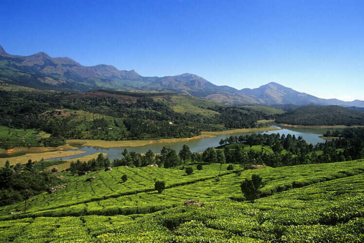 Places To Visit Near Munnar See In Times Of Wonderful Places To Visit Near Munnar