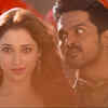 Article image for: Eiffel Melay: Thozha