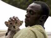 Bolt adopts cheetah