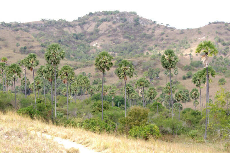 IMGP9836