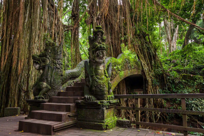 Ubud Monkey forest