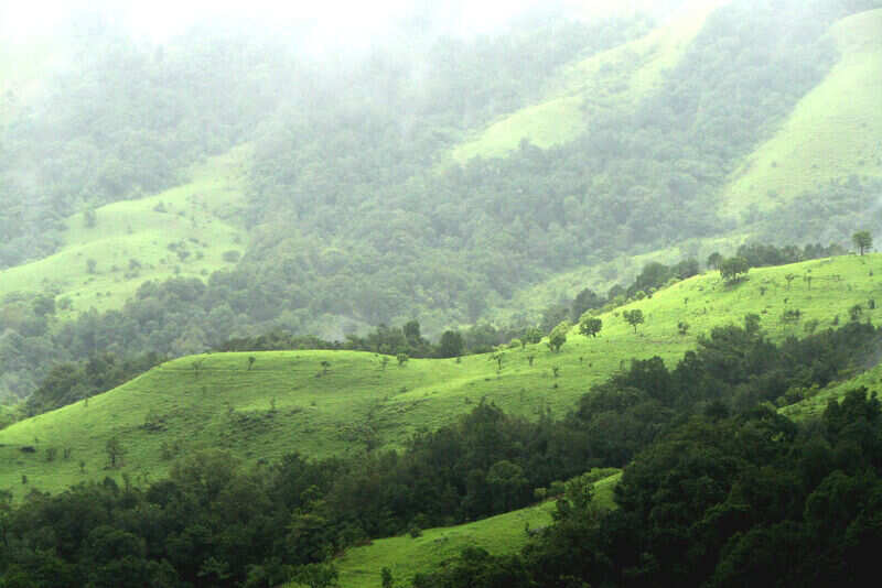 Shola_Grasslands_and_forests_in_the_Kudremukh_National_Park_Western_Ghats_Karnataka