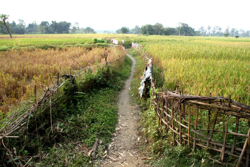 a lane in the village