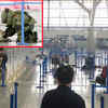 Article image for: <i class="tbold">small</i> explosion at Shanghai airport
