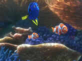 Finding Dory