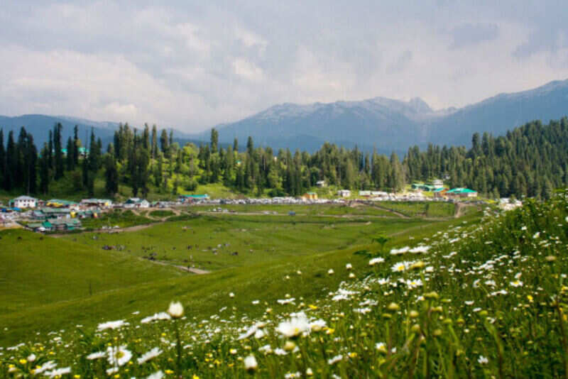 Your comprehensive guide to the Srinagar-Leh road trip