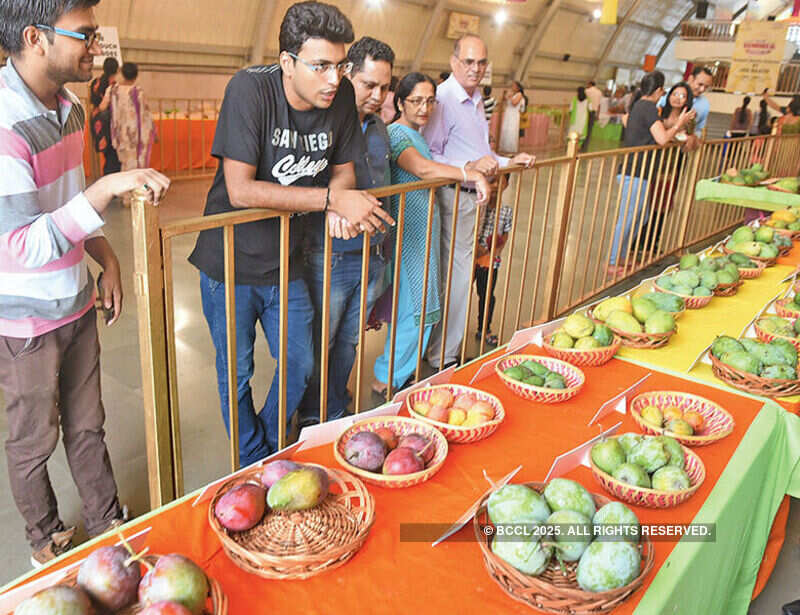 Mango Festival