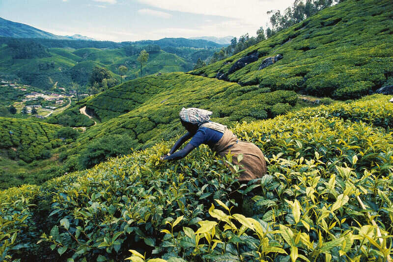 Munnar