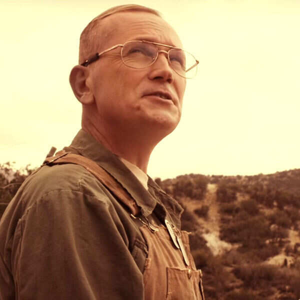 Pat Healy Pictures