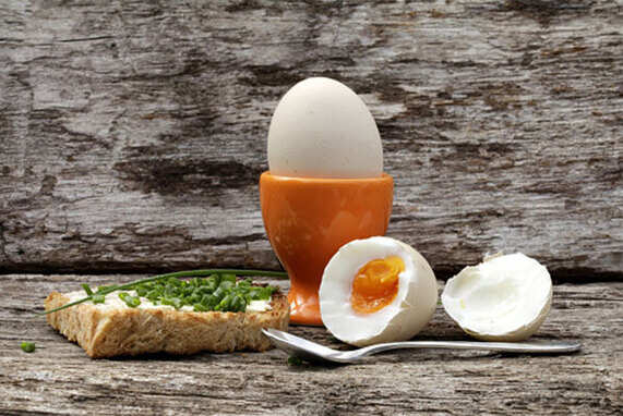 High-Protein Diet