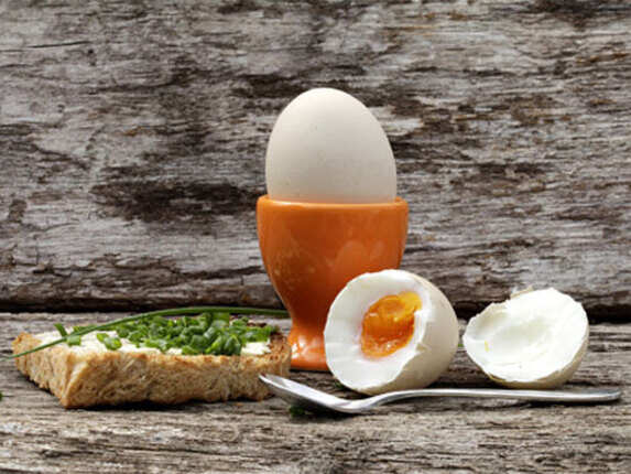 High-Protein Diet